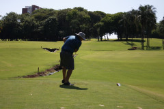 MG_4370-Medio