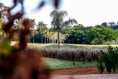 19062021-_MG_1744-Large