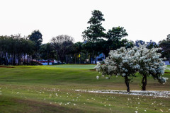 19062021-_MG_1795-Large