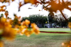 19062021-_MG_1804-Large