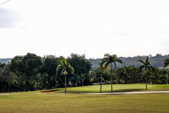 19062021-_MG_1842-Large
