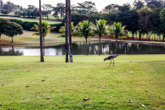 19062021-_MG_1881-Large