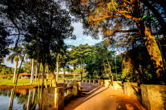 19062021-_MG_2138-Large