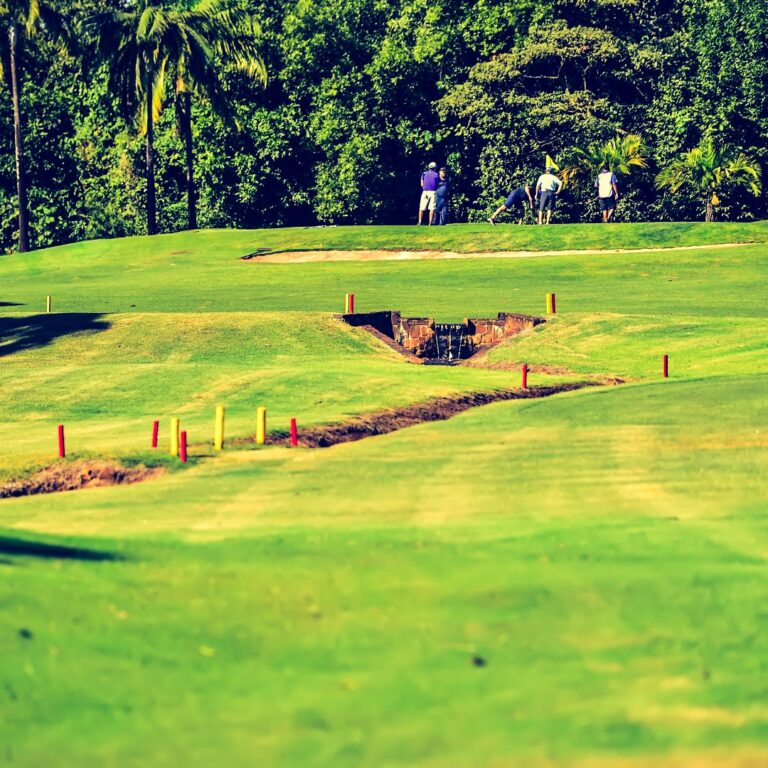 28062019-FOTOS-143-Large (Large)