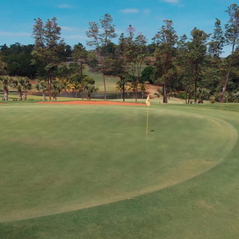 Buraco 03.mp4_snapshot_00.44.044 (Large)